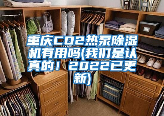 重慶CO2熱泵除濕機有用嗎(我們是認真的！2022已更新)