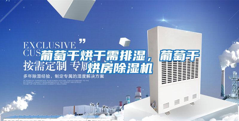 葡萄干烘干需排濕，葡萄干烘房除濕機