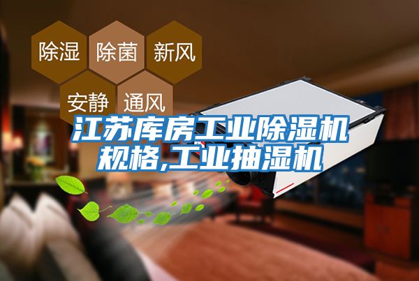 江蘇庫房工業(yè)除濕機規格,工業(yè)抽濕機