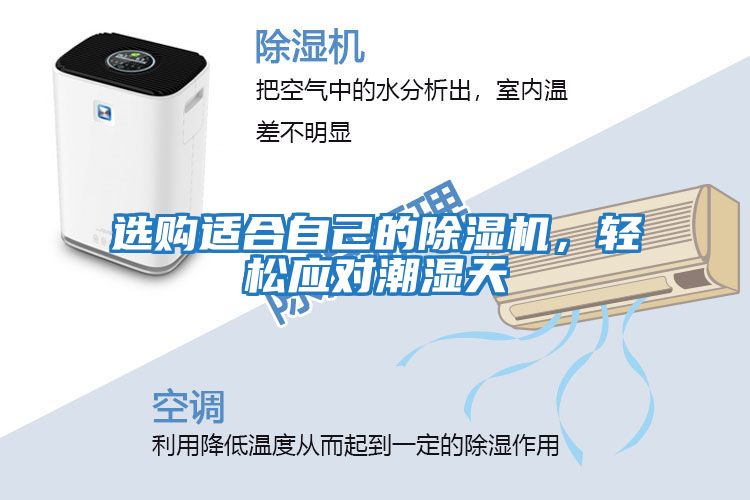 選購適合自己的除濕機，輕松應對潮濕天