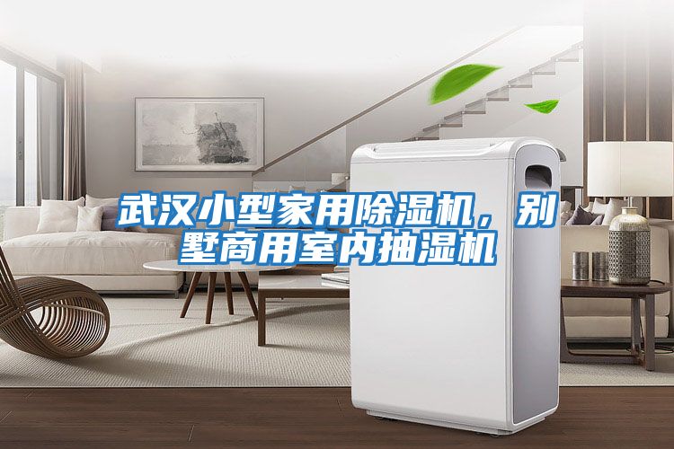 武漢小型家用除濕機，別墅商用室內抽濕機