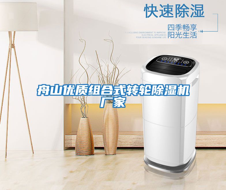 舟山優(yōu)質(zhì)組合式轉輪除濕機廠(chǎng)家
