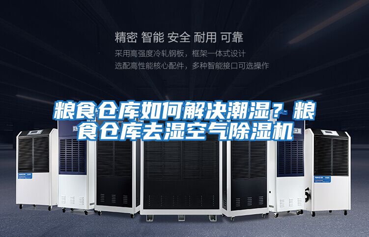 糧食倉庫如何解決潮濕？糧食倉庫去濕空氣除濕機