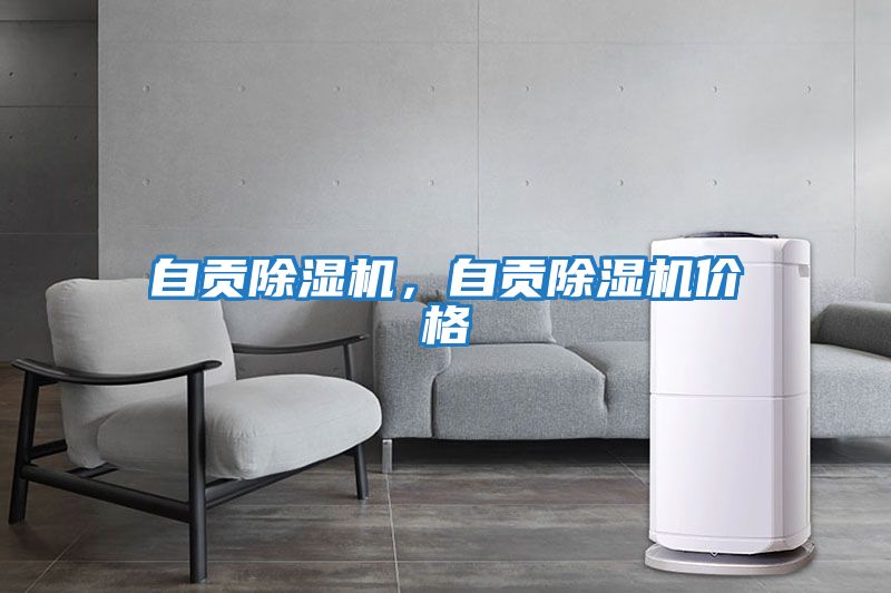 自貢除濕機，自貢除濕機價(jià)格