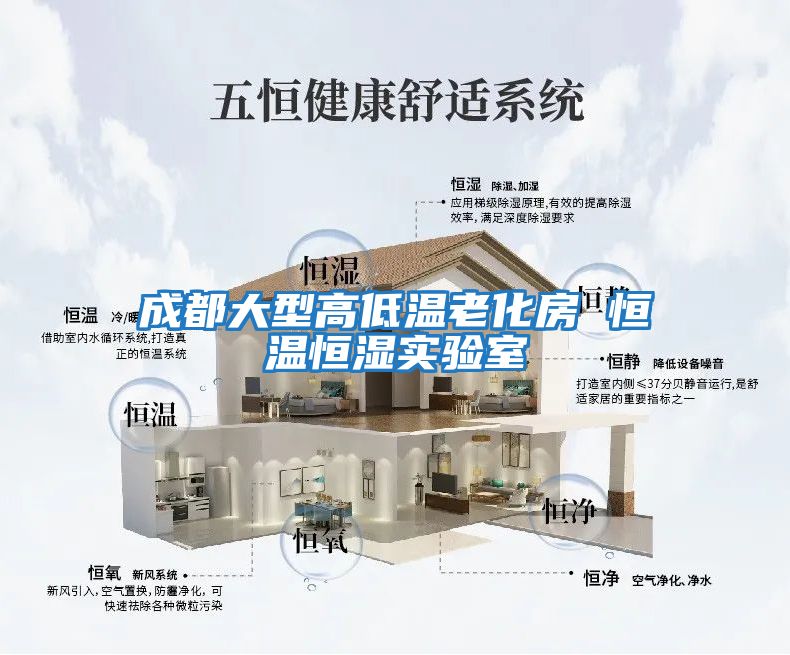 成都大型高低溫老化房 恒溫恒濕實(shí)驗室
