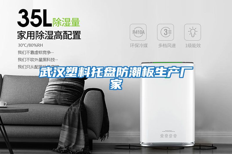 武漢塑料托盤(pán)防潮板生產(chǎn)廠(chǎng)家