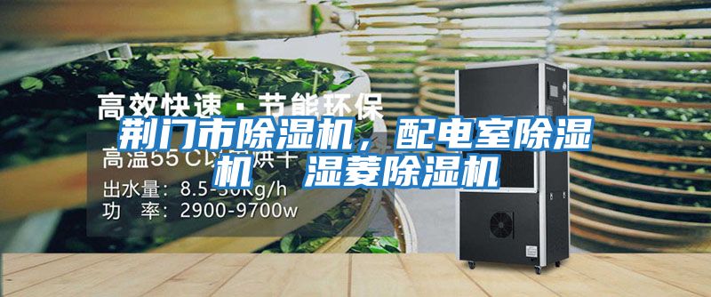 荊門(mén)市除濕機，配電室除濕機  濕菱除濕機