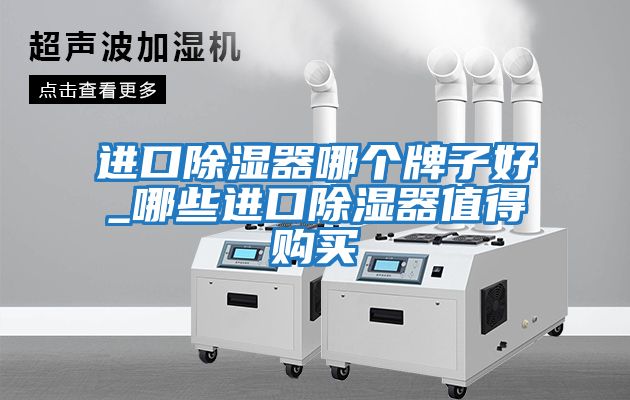 進(jìn)口除濕器哪個(gè)牌子好_哪些進(jìn)口除濕器值得購買(mǎi)
