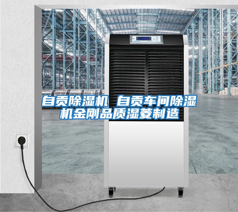 自貢除濕機 自貢車(chē)間除濕機金剛品質(zhì)濕菱制造