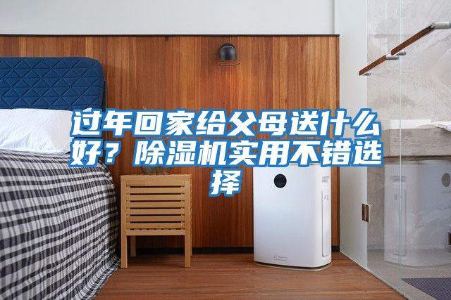 過(guò)年回家給父母送什么好？除濕機實(shí)用不錯選擇