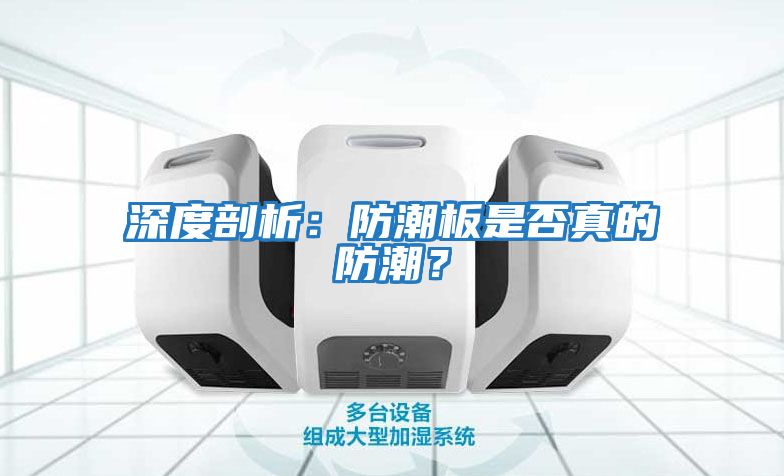 深度剖析：防潮板是否真的防潮？