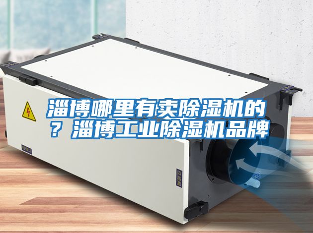 淄博哪里有賣(mài)除濕機的？淄博工業(yè)除濕機品牌