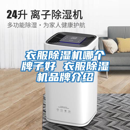 衣服除濕機哪個(gè)牌子好 衣服除濕機品牌介紹