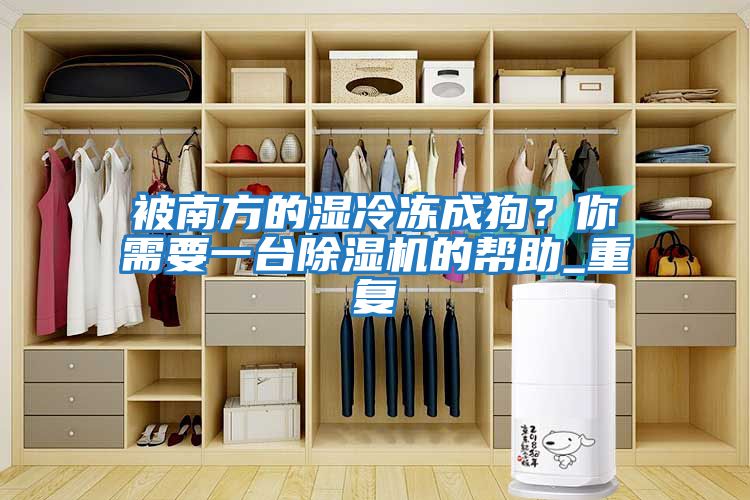 被南方的濕冷凍成狗？你需要一臺除濕機的幫助_重復