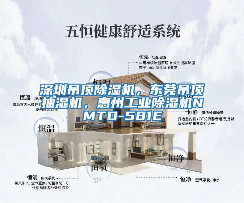 深圳吊頂除濕機，東莞吊頂抽濕機，惠州工業(yè)除濕機NMTD-581E