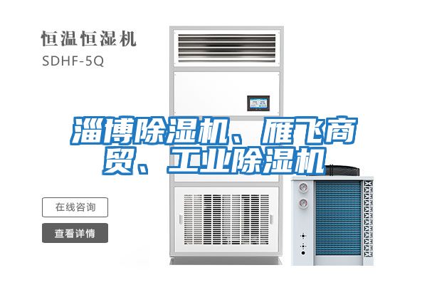 淄博除濕機、雁飛商貿、工業(yè)除濕機