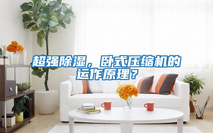 超強除濕，臥式壓縮機的運作原理？