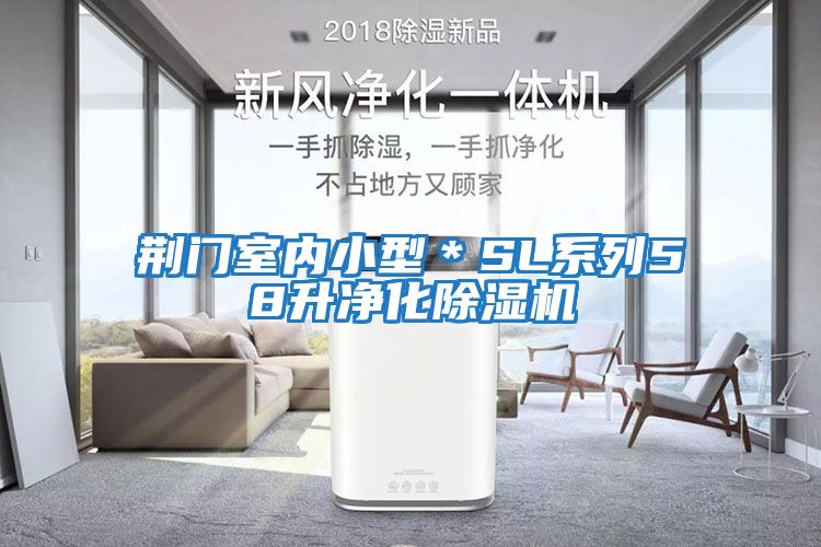 荊門(mén)室內小型＊SL系列58升凈化除濕機