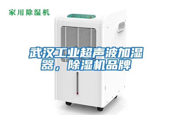 武漢工業(yè)超聲波加濕器，除濕機品牌