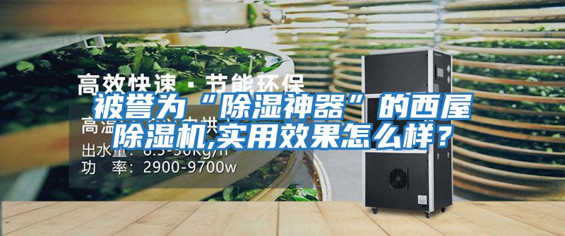 被譽(yù)為“除濕神器”的西屋除濕機,實(shí)用效果怎么樣？