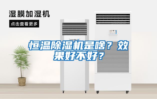 恒溫除濕機是啥？效果好不好？