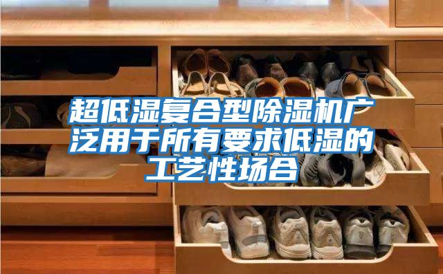 超低濕復合型除濕機廣泛用于所有要求低濕的工藝性場(chǎng)合