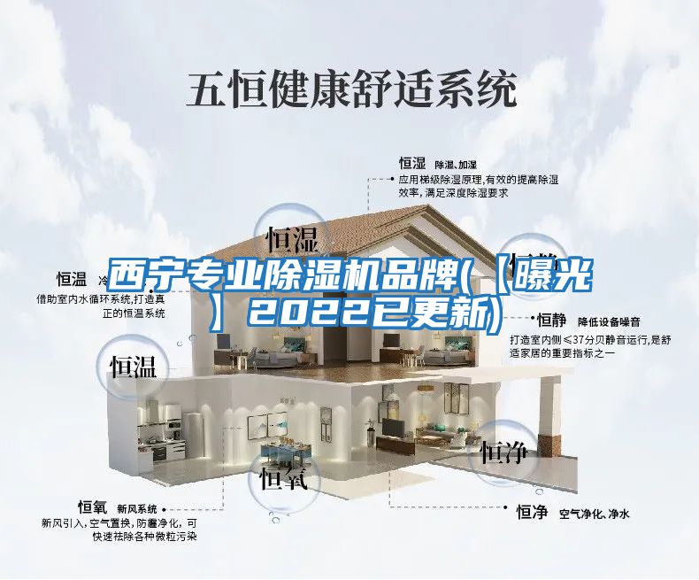 西寧專(zhuān)業(yè)除濕機品牌(【曝光】2022已更新)