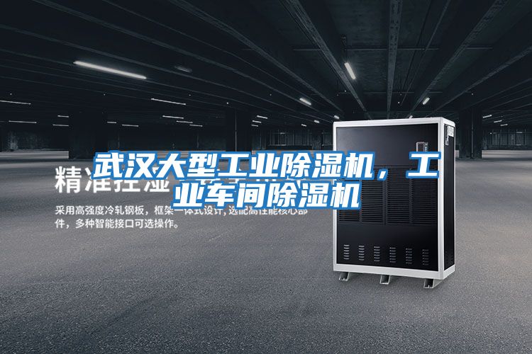 武漢大型工業(yè)除濕機，工業(yè)車(chē)間除濕機