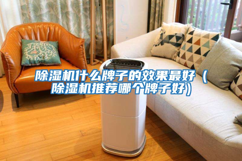 除濕機什么牌子的效果最好（除濕機推薦哪個(gè)牌子好）