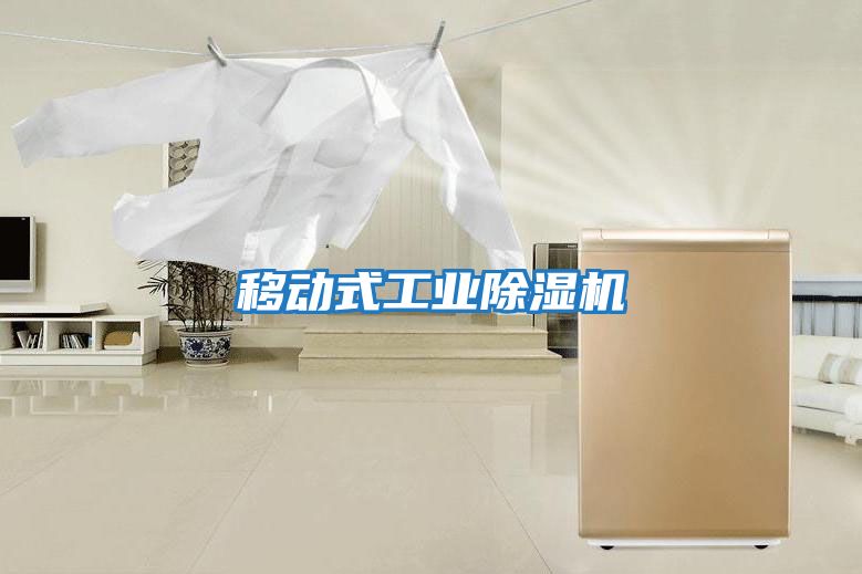 移動(dòng)式工業(yè)除濕機