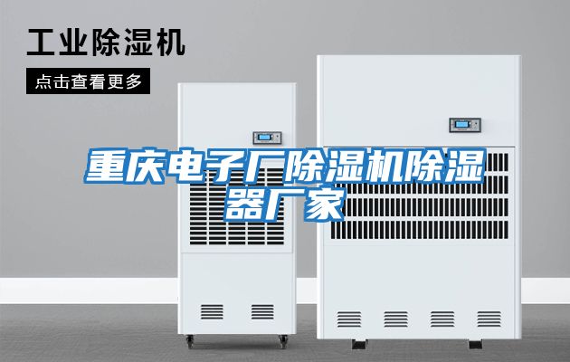 重慶電子廠(chǎng)除濕機除濕器廠(chǎng)家