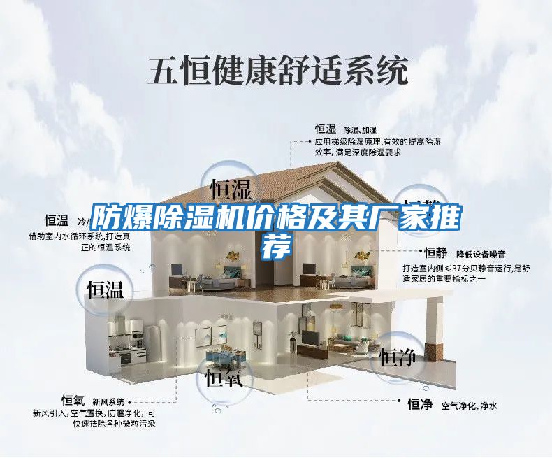 防爆除濕機價(jià)格及其廠(chǎng)家推薦