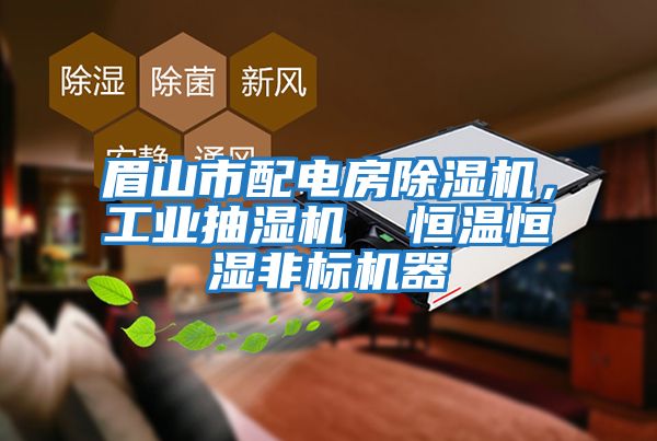 眉山市配電房除濕機，工業(yè)抽濕機  恒溫恒濕非標機器