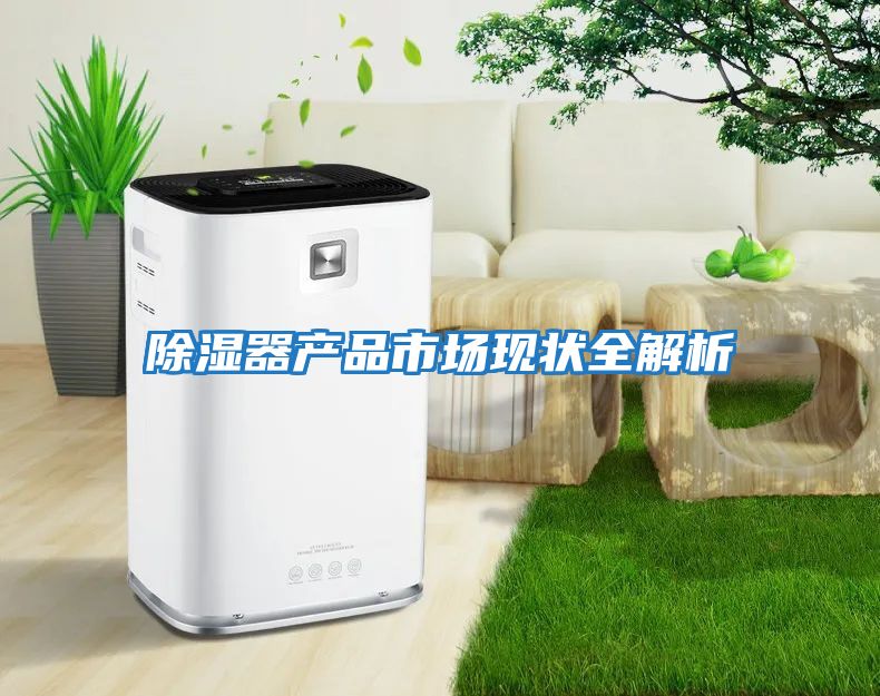除濕器產(chǎn)品市場(chǎng)現狀全解析
