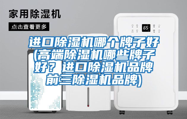 進(jìn)口除濕機哪個(gè)牌子好(高端除濕機哪些牌子好？進(jìn)口除濕機品牌前三除濕機品牌)