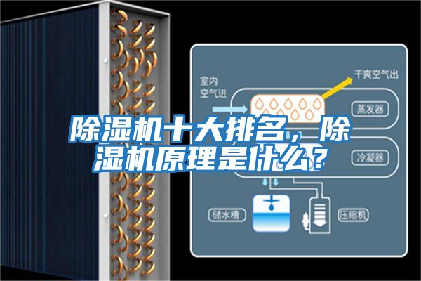 除濕機十大排名，除濕機原理是什么？