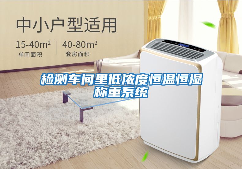 檢測車(chē)間里低濃度恒溫恒濕稱(chēng)重系統