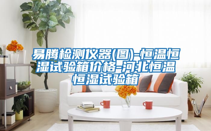 易騰檢測儀器(圖)-恒溫恒濕試驗箱價(jià)格-河北恒溫恒濕試驗箱