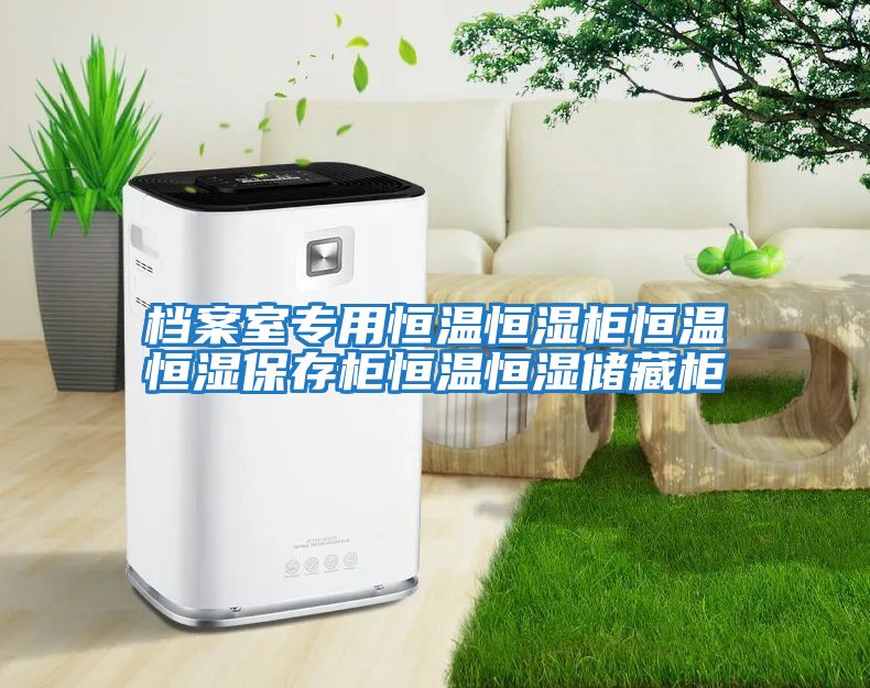 檔案室專(zhuān)用恒溫恒濕柜恒溫恒濕保存柜恒溫恒濕儲藏柜