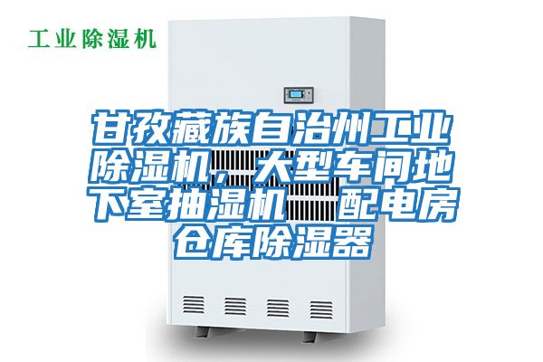 甘孜藏族自治州工業(yè)除濕機，大型車(chē)間地下室抽濕機  配電房倉庫除濕器