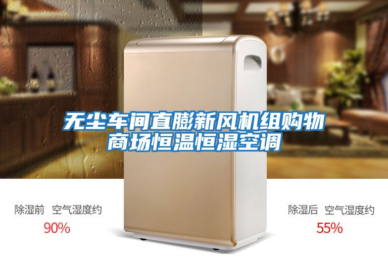 無(wú)塵車(chē)間直膨新風(fēng)機組購物商場(chǎng)恒溫恒濕空調