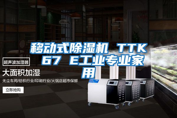 移動(dòng)式除濕機 TTK 67 E工業(yè)專(zhuān)業(yè)家用