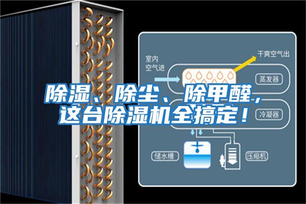 除濕、除塵、除甲醛，這臺除濕機全搞定！