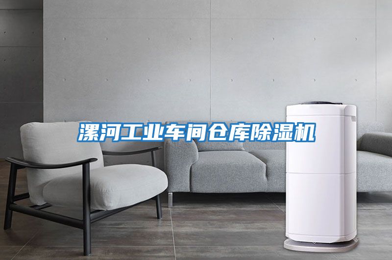 漯河工業(yè)車(chē)間倉庫除濕機