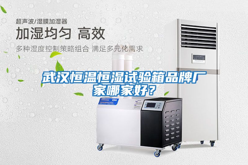 武漢恒溫恒濕試驗箱品牌廠(chǎng)家哪家好？