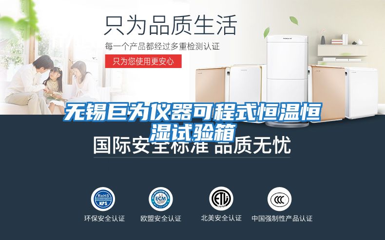 無(wú)錫巨為儀器可程式恒溫恒濕試驗箱