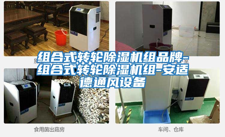組合式轉輪除濕機組品牌-組合式轉輪除濕機組-安適德通風(fēng)設備