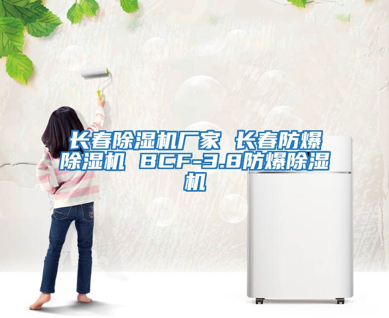 長(cháng)春除濕機廠(chǎng)家 長(cháng)春防爆除濕機 BCF-3.8防爆除濕機