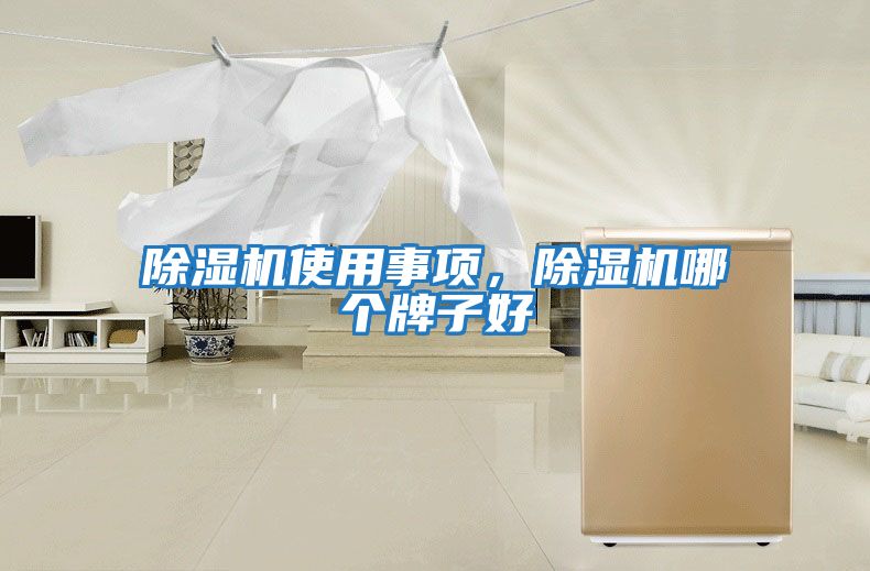 除濕機使用事項，除濕機哪個(gè)牌子好