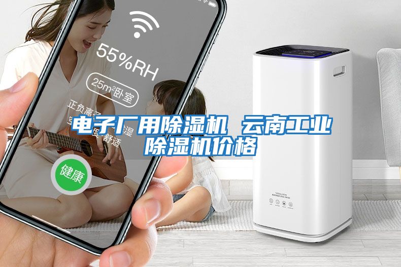 電子廠(chǎng)用除濕機 云南工業(yè)除濕機價(jià)格